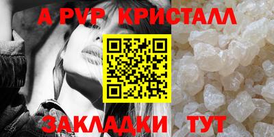 шишки Моздок