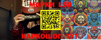 шишки Моздок